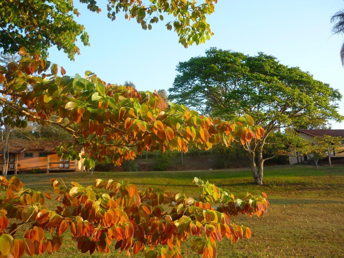 Porto Fazenda Hotel Alfenas Bagian luar foto